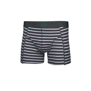 Jack Jones Erkek Boxer 12082683 Fig