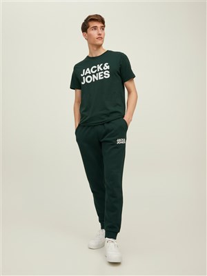 Jack Jones Erkek T-Shirt 12151955 Pine Grove