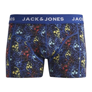 Jack Jones Erkek Boxer 12155362 Surf The Web