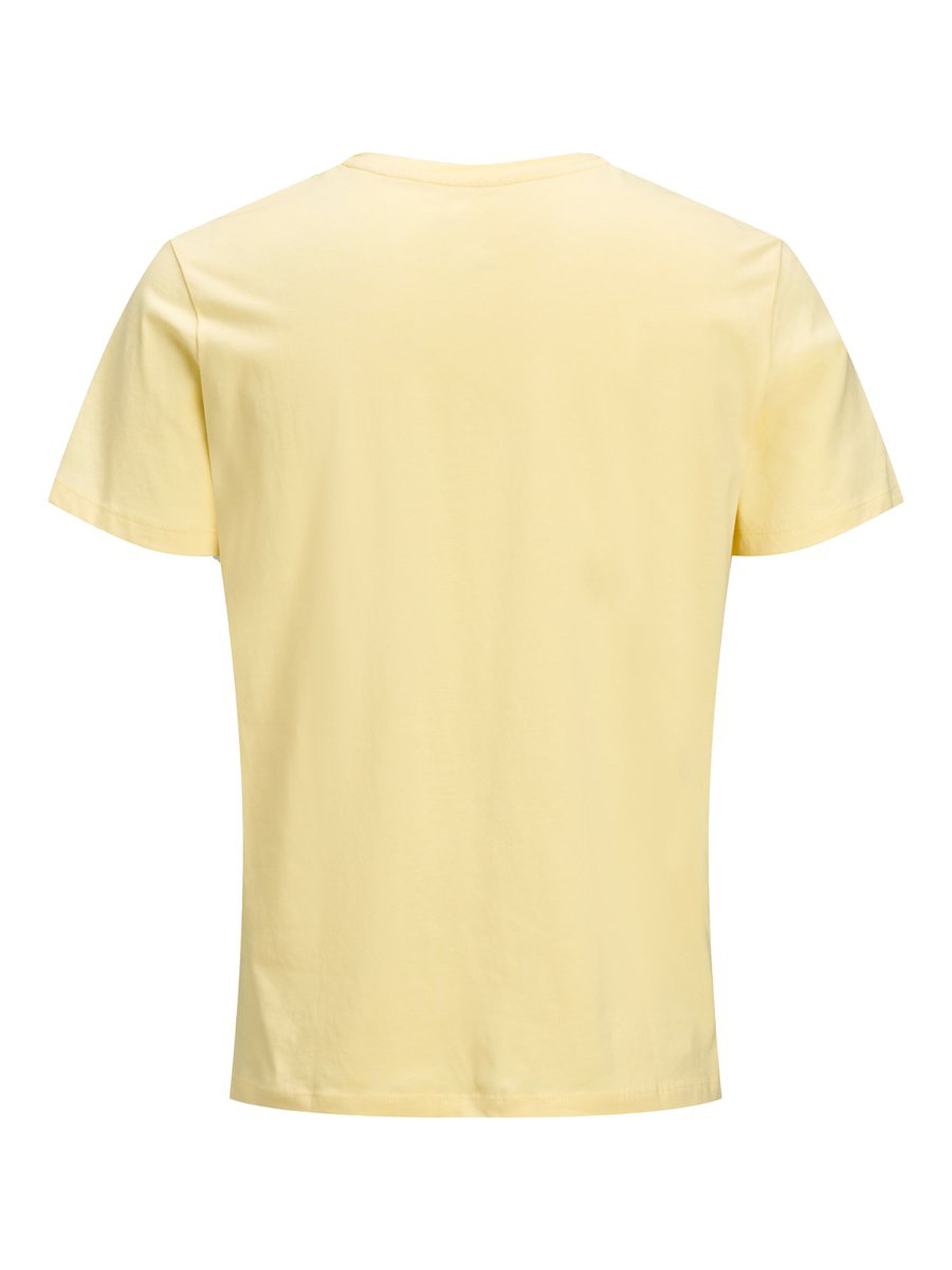 Jack Jones Erkek T-Shirt 12171737 Flan