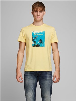 Jack Jones Erkek T-Shirt 12171737 Flan