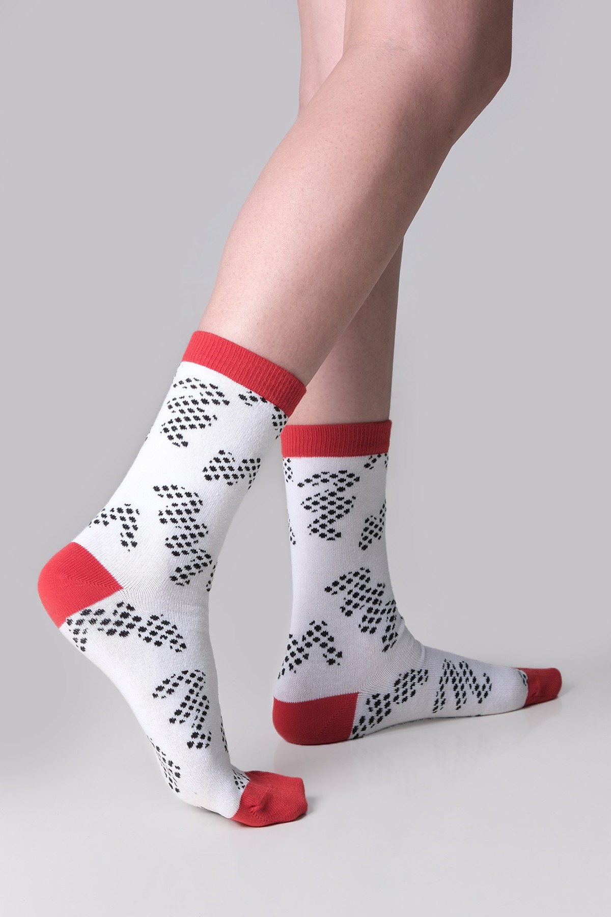 The Socks Company Kadın Çorap 22KDCR264K Çok Renkli