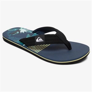 Quiksilver Erkek Terlik AQYL100955 Black/Blue/Green