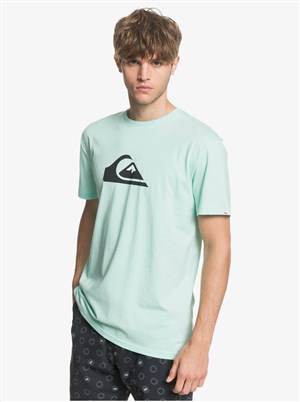 Quiksilver Erkek T-Shirt EQYZT05750 Beach Glass