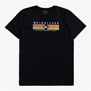 Quiksilver Erkek T-Shirt EQYZT05764 Black