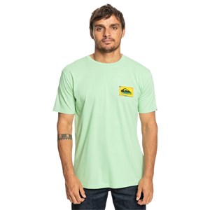 Quiksilver Erkek T-Shirt EQYZT07229 Sprucestone