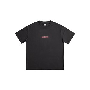 Quiksilver Erkek T-Shirt EQYZT07255 Black