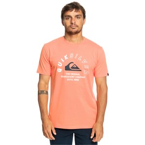 Quiksilver Erkek T-Shirt EQYZT07276 Fresh Salmon